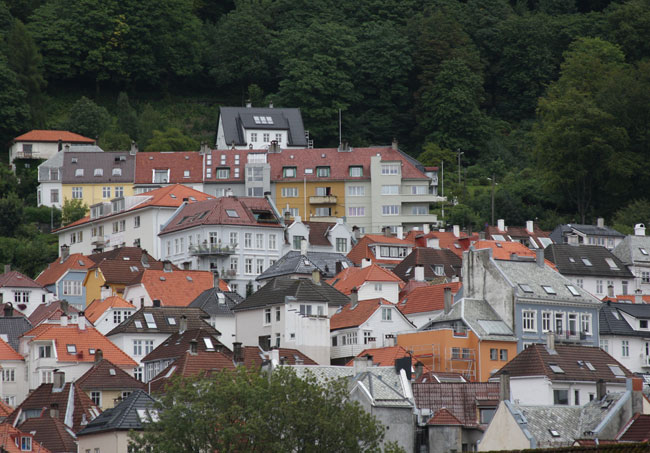 Old Bergen hillside