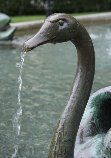 lovely swan fountain